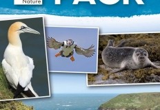 Flamborough Wildlife Walks