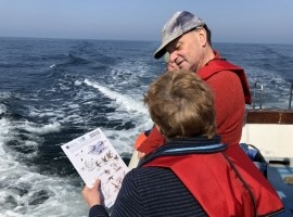 Seabirds and Whales - Twilight Trips 2025