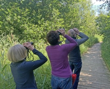 Birdwatching Course - Spring 2025