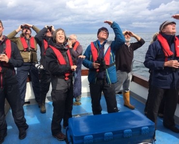 Seabird & Whale Adventures 2025