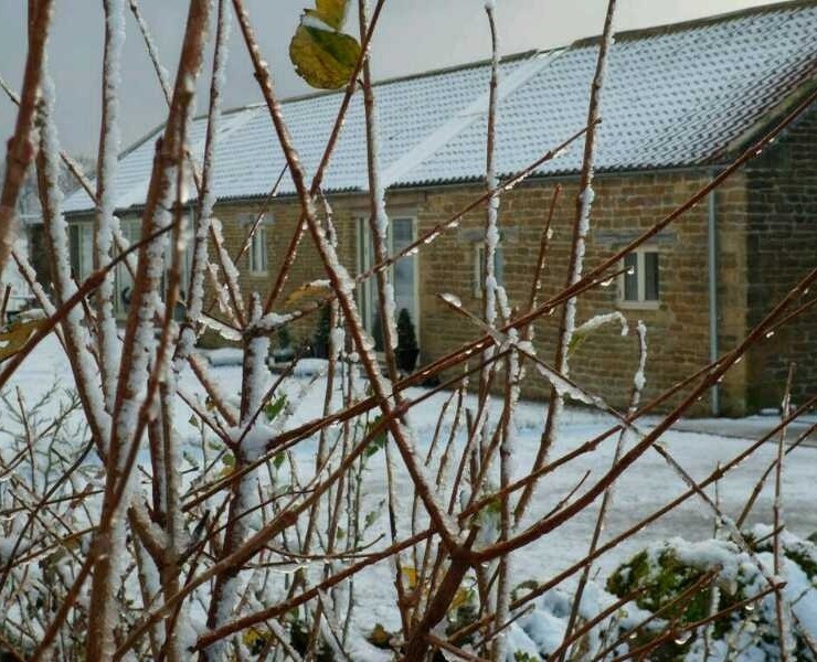 Folly Gill - Stylish Stays
