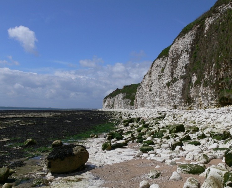 Flamborough Head