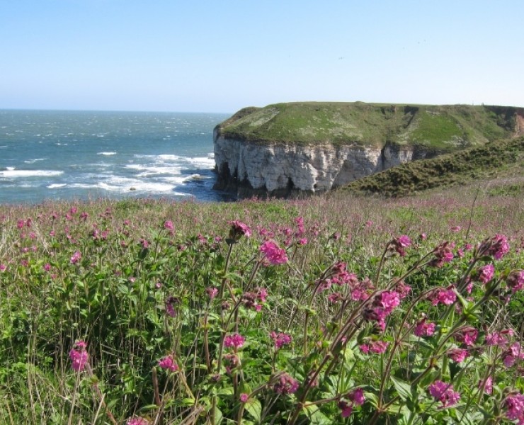 Flamborough Head