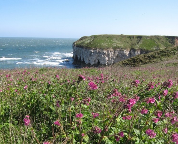 Flamborough Head | East Yorkshire - Yorkshire Coast Nature