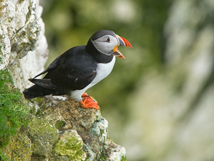 Above and Below Photography Gift Voucher