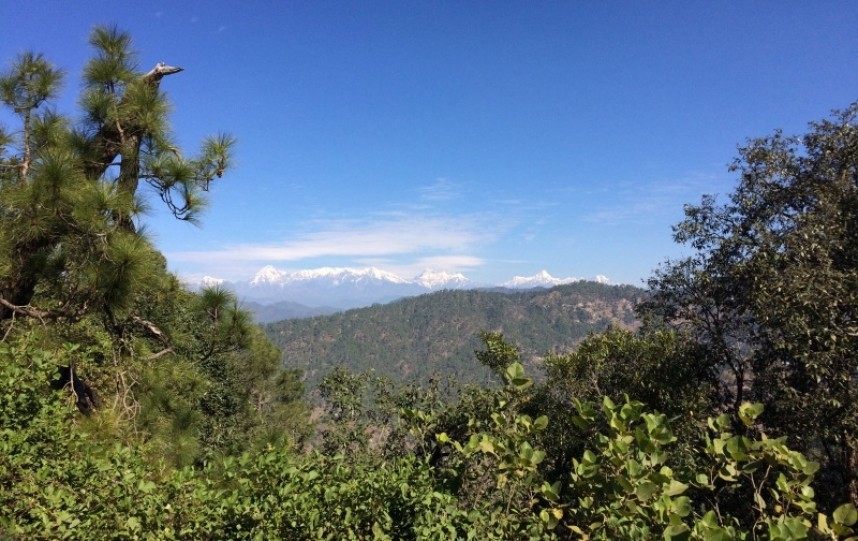  View from near Binsar © Richard Baines