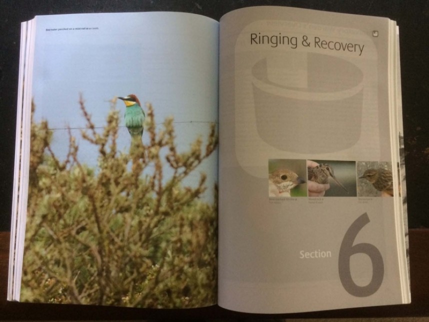  Section 6 