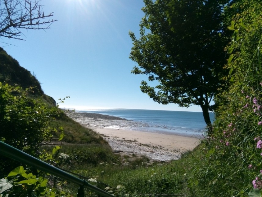  Danes Dyke beach © Susie O'Neill