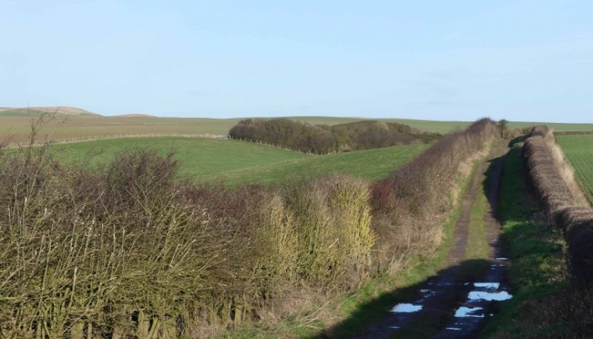  Hoddy Cows Lane track to the cliffs © Margaret Boyd