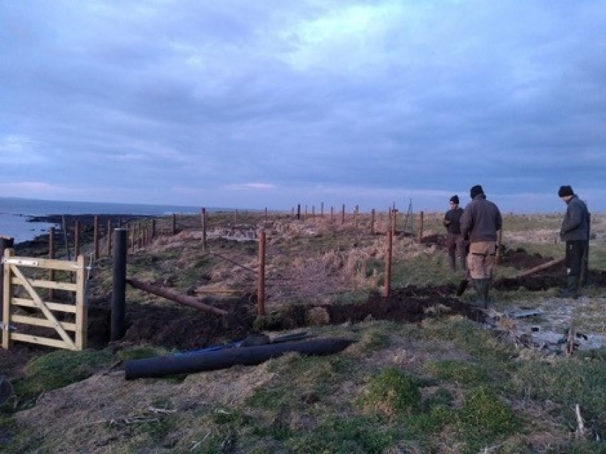  Erecting the new fence © RSPB