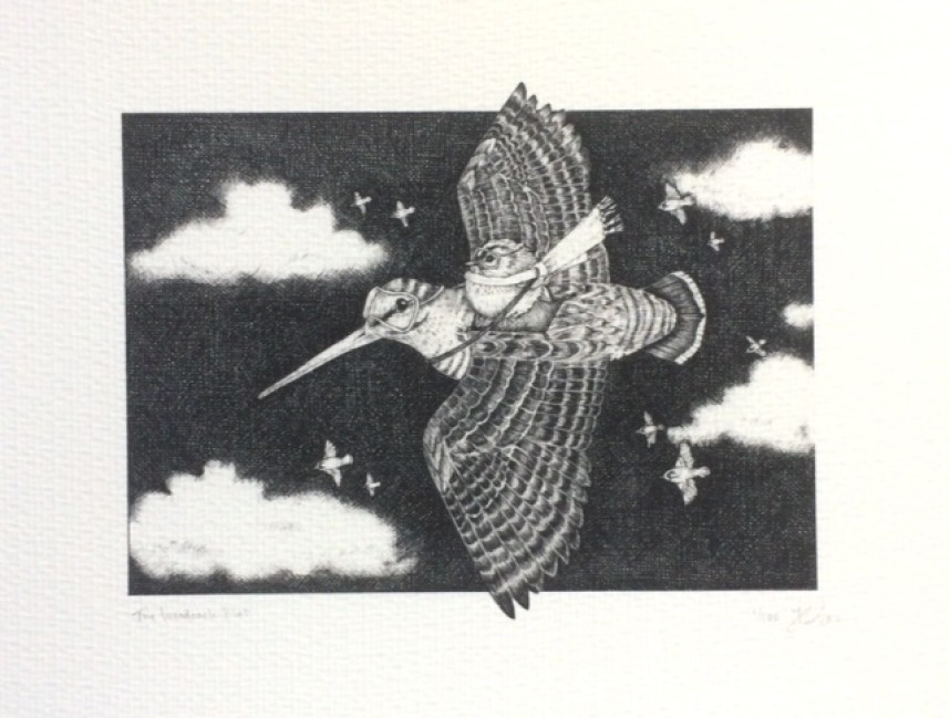  Woodcock Pilot drawing by Jeni Davies. see her Instagram account for more wonderful art @jennywrendraws  