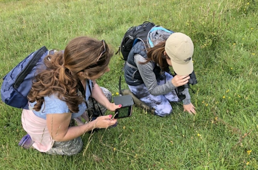 Discovering amazing flowers under our feet © Richard Baines 