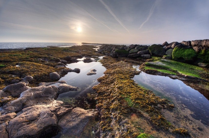  Filey Brigg © George Stoyle