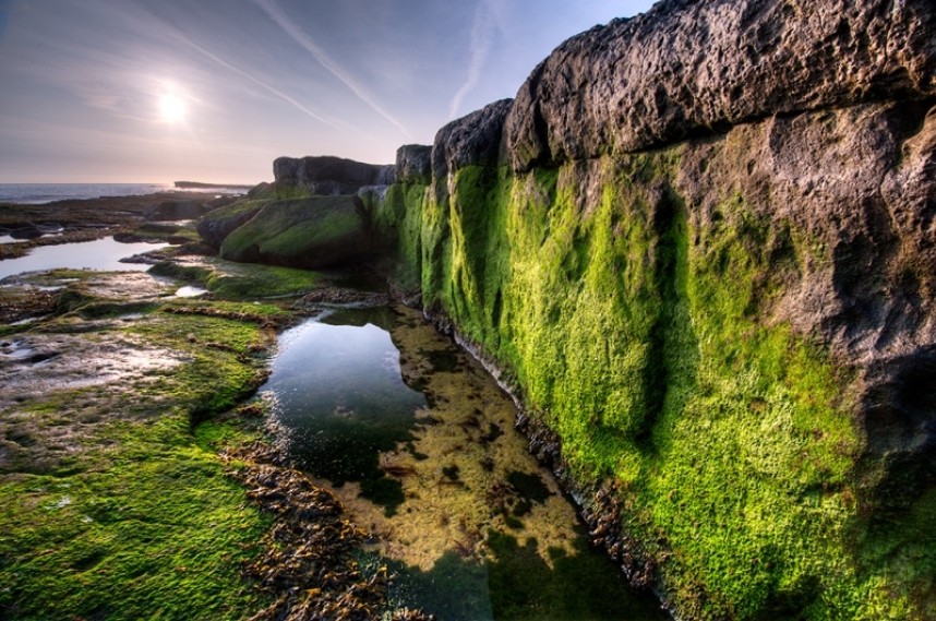  Filey Brigg © George Stoyle