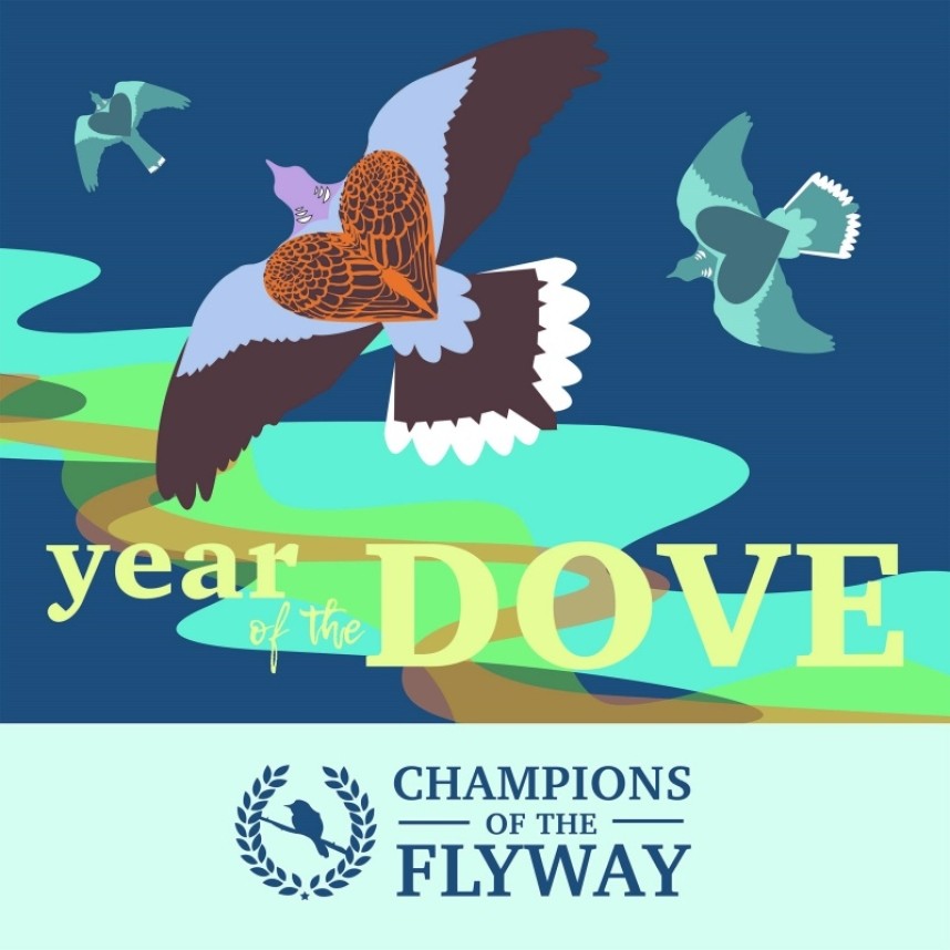 Year of the Dove (logo by Jo Ruth Design)